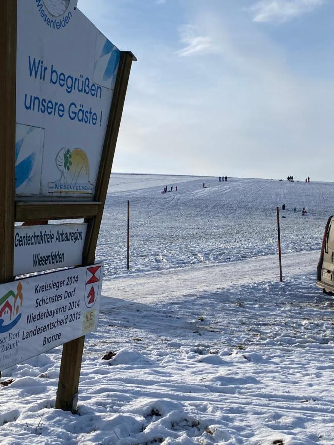 Grosszuegig Und Komfortabel:Ferienwohnung Im Bayerischen Wald! Wiesenfelden Екстер'єр фото