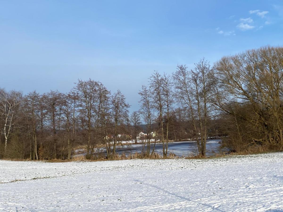 Grosszuegig Und Komfortabel:Ferienwohnung Im Bayerischen Wald! Wiesenfelden Екстер'єр фото