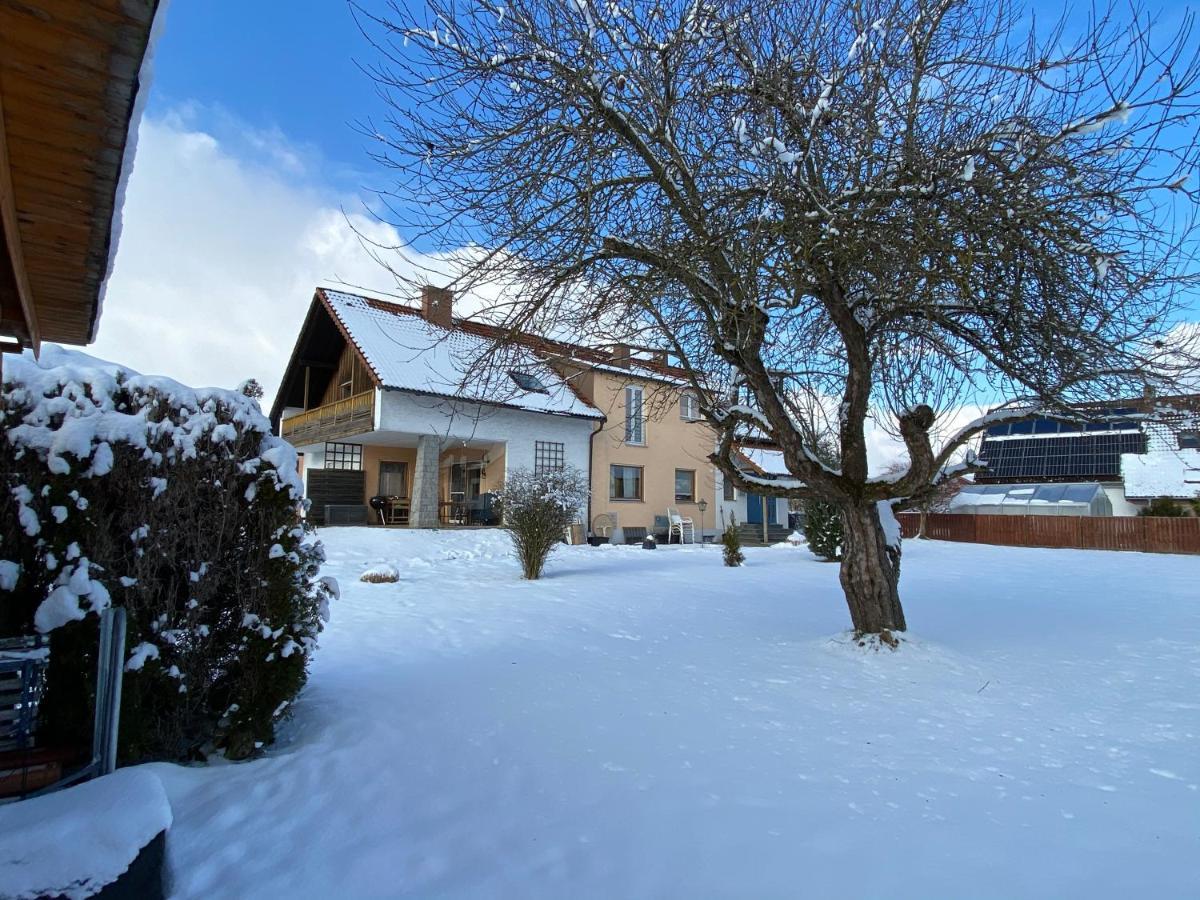 Grosszuegig Und Komfortabel:Ferienwohnung Im Bayerischen Wald! Wiesenfelden Екстер'єр фото